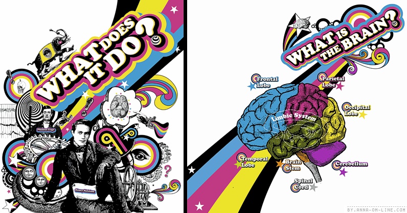 Your Brain Exhibit mural graphics